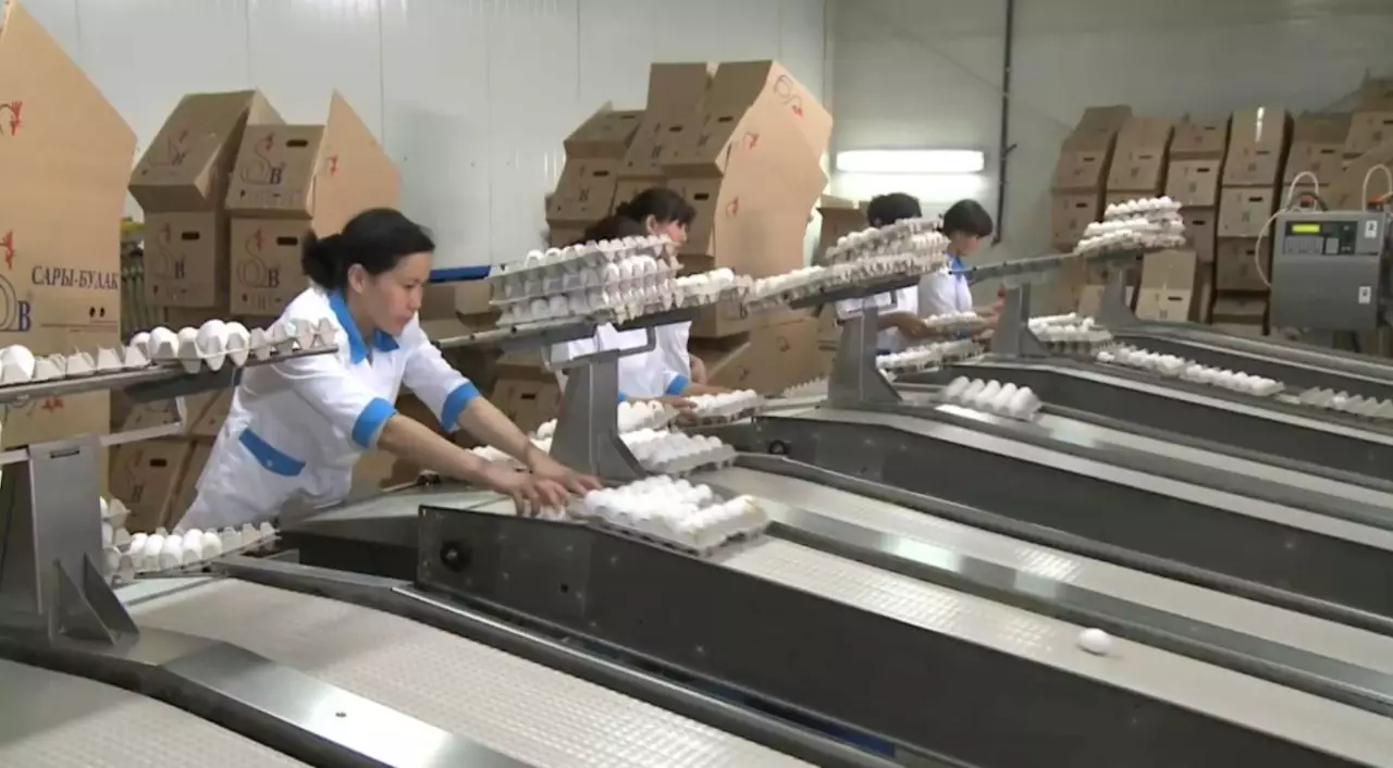 Елде жұмыртқа импортына шектеу қойылды