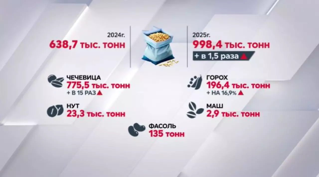 Около 1 млн тонн бобовых собрали фермеры Казахстана в 2025 году