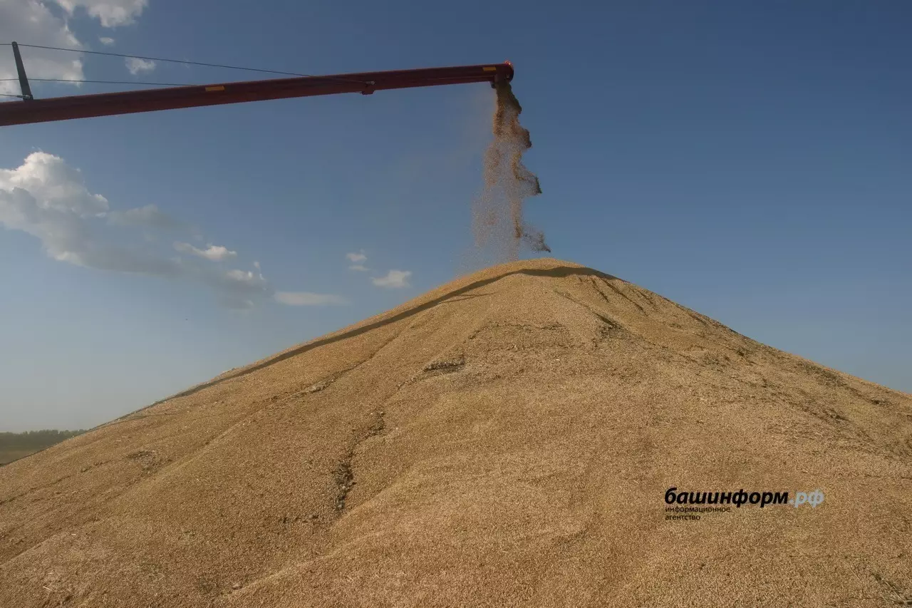 Башкирия начнет поставки мяса в Китай и Казахстан