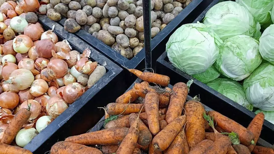 Алматыда сайлау учаскелерінің маңында ауыл шаруашылығы жәрмеңкелері өтіп жатыр