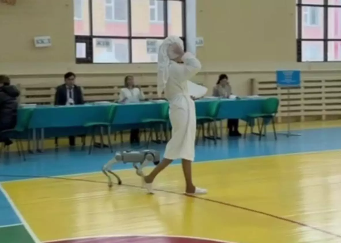 Душтан шыға салып, референдумға келді: робот-ит ерткен бойжеткен елді таңғалдырды