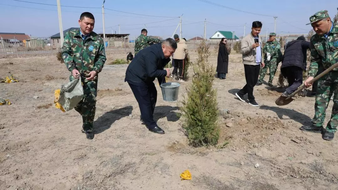 Алматы облысында «Дауыс бер де, өз ағашыңды отырғыз» акциясы аясында 30 көшет егілді