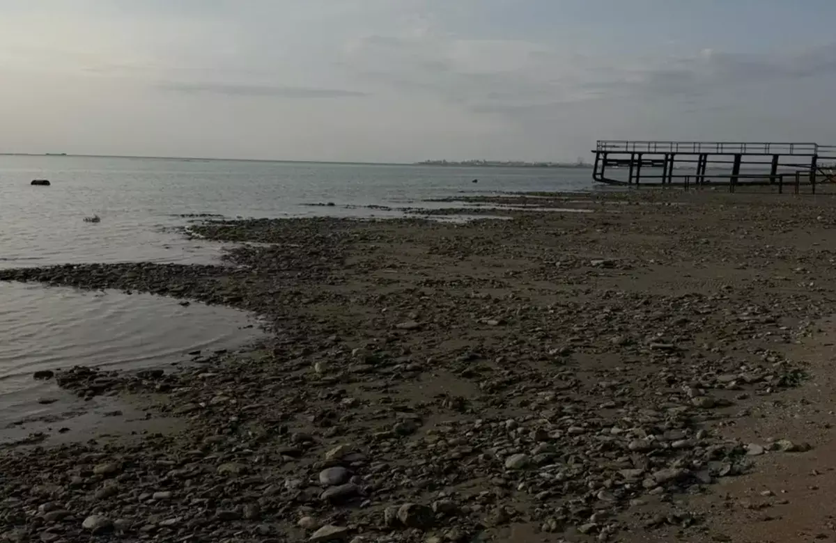 Миссия – спасти море: как новый институт Каспия в Актау изучает обмеление и экологические риски - новости на Lada.kz 15.03.2026