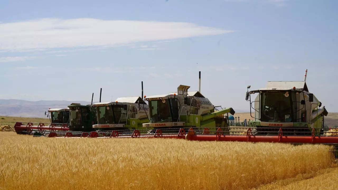 Казахстан представил планы по посевной кампании 2026 года в Павлодарской области.