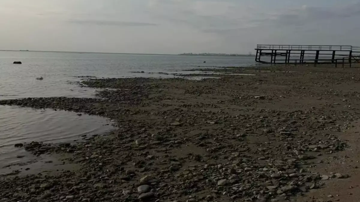 Новый НИИ Каспийского моря в Актау начал исследования обмеления и экологических рисков