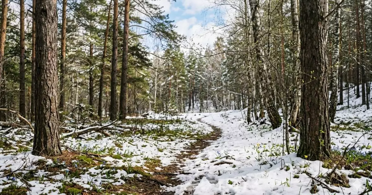  Қазақстан бойынша бүгінге дауылды ескерту жарияланды 