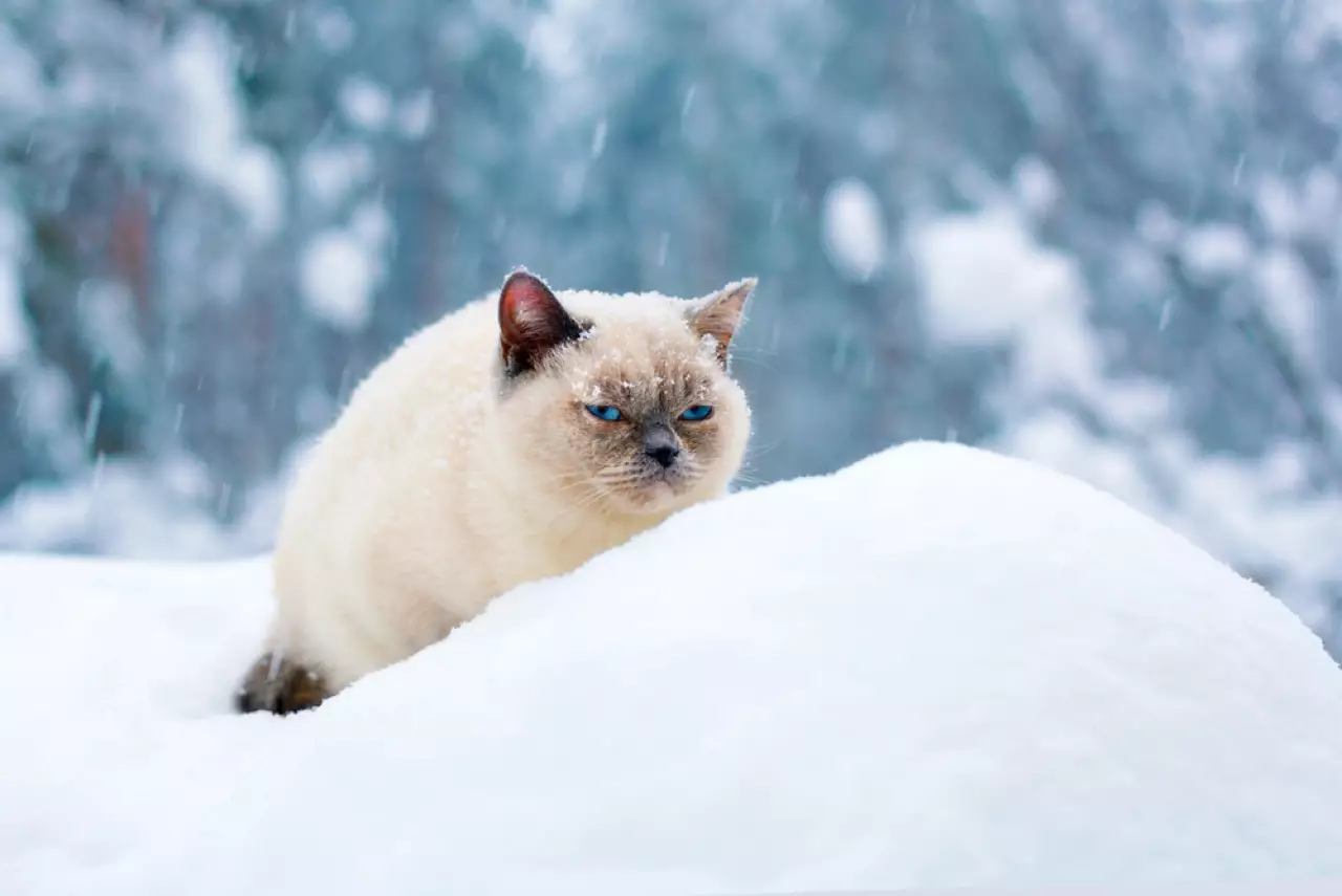 Штормовое предупреждение объявили на большей части Казахстана