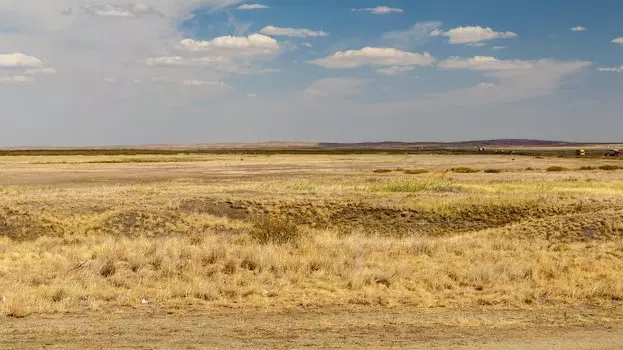 Ученые нашли неожиданный способ остановить пустыни