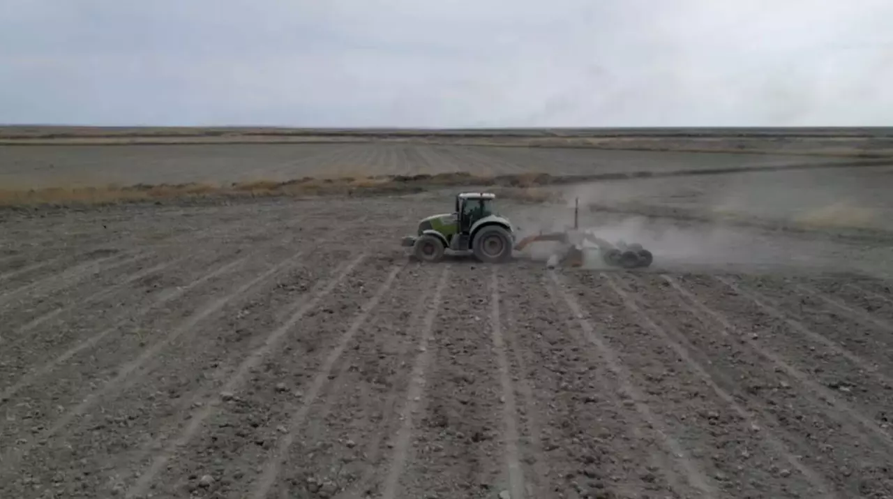 Қызылордада су арналары тазартылып жатыр