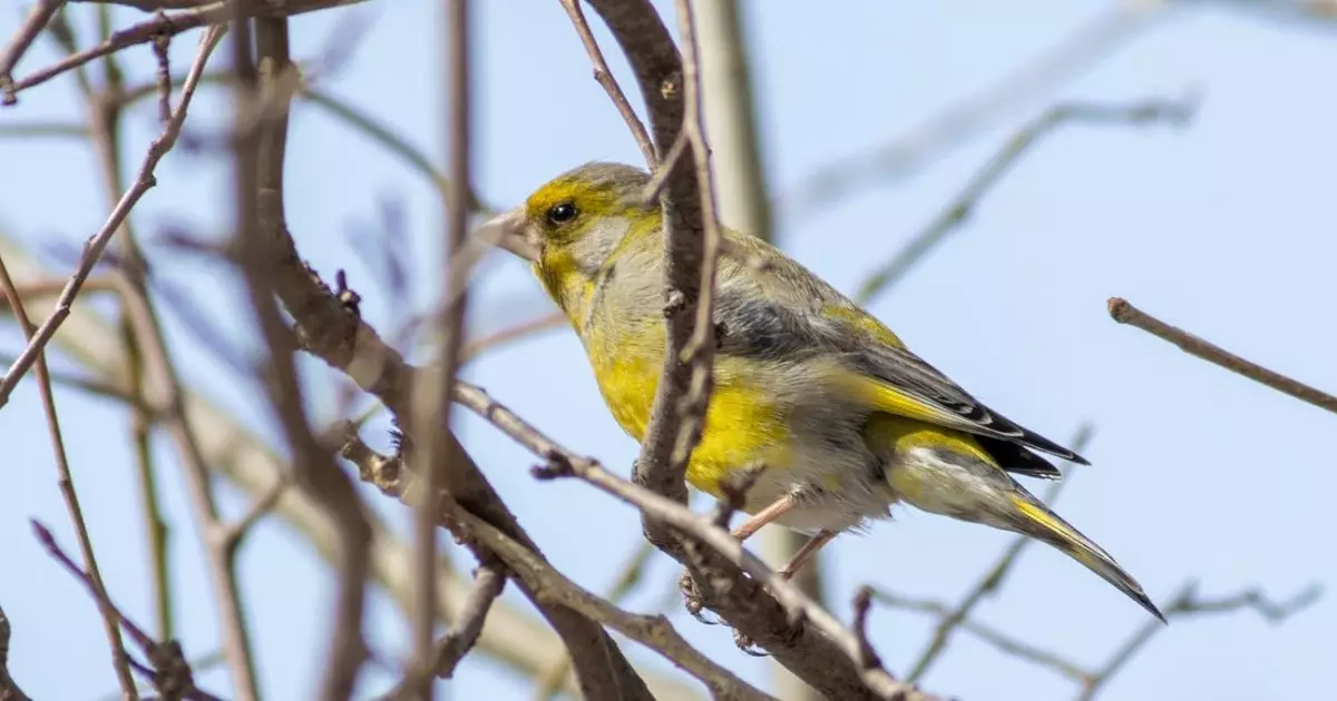  Қазақстанда күн 20 градусқа дейін жылынады 