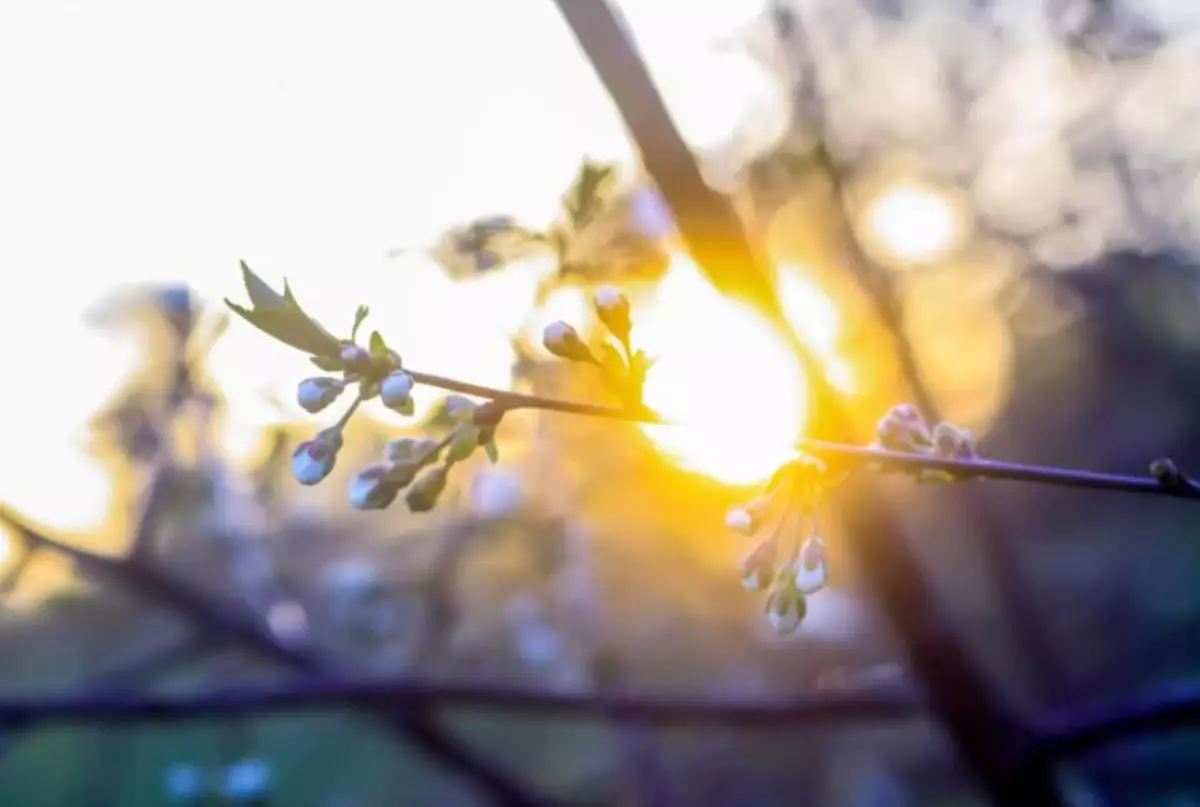 "+20°С-қа дейін көтеріледі": Синоптиктер еліміз бойынша алдағы күндерге арналған ауа райы болжамын айтты