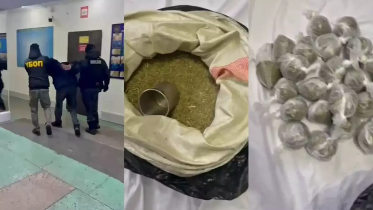 В Аксу изъяли 11 килограммов наркотиков: подозреваемый арестован