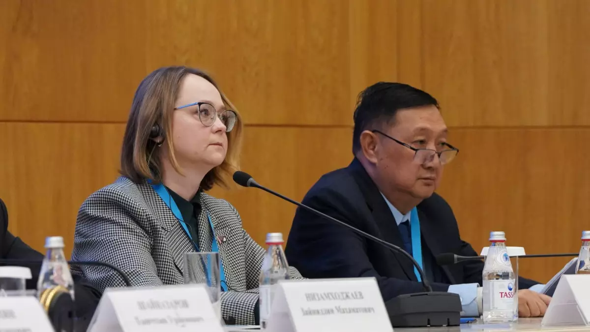 Мьянма өкілі: Референдум тәжірибесі басқа елдерге пайдалы болуы мүмкін