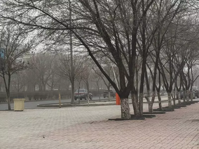 Атырау оказался под властью песчаной бури