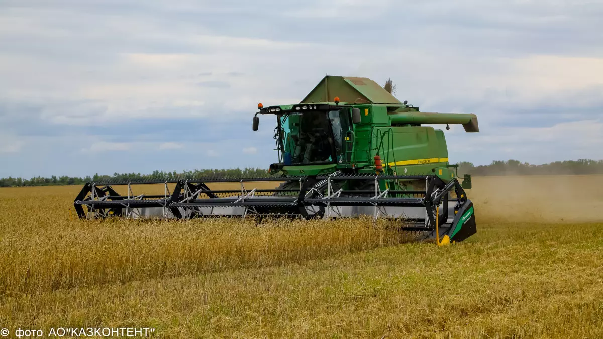 Аграриям Казахстана выдали сотни миллиардов на посевную