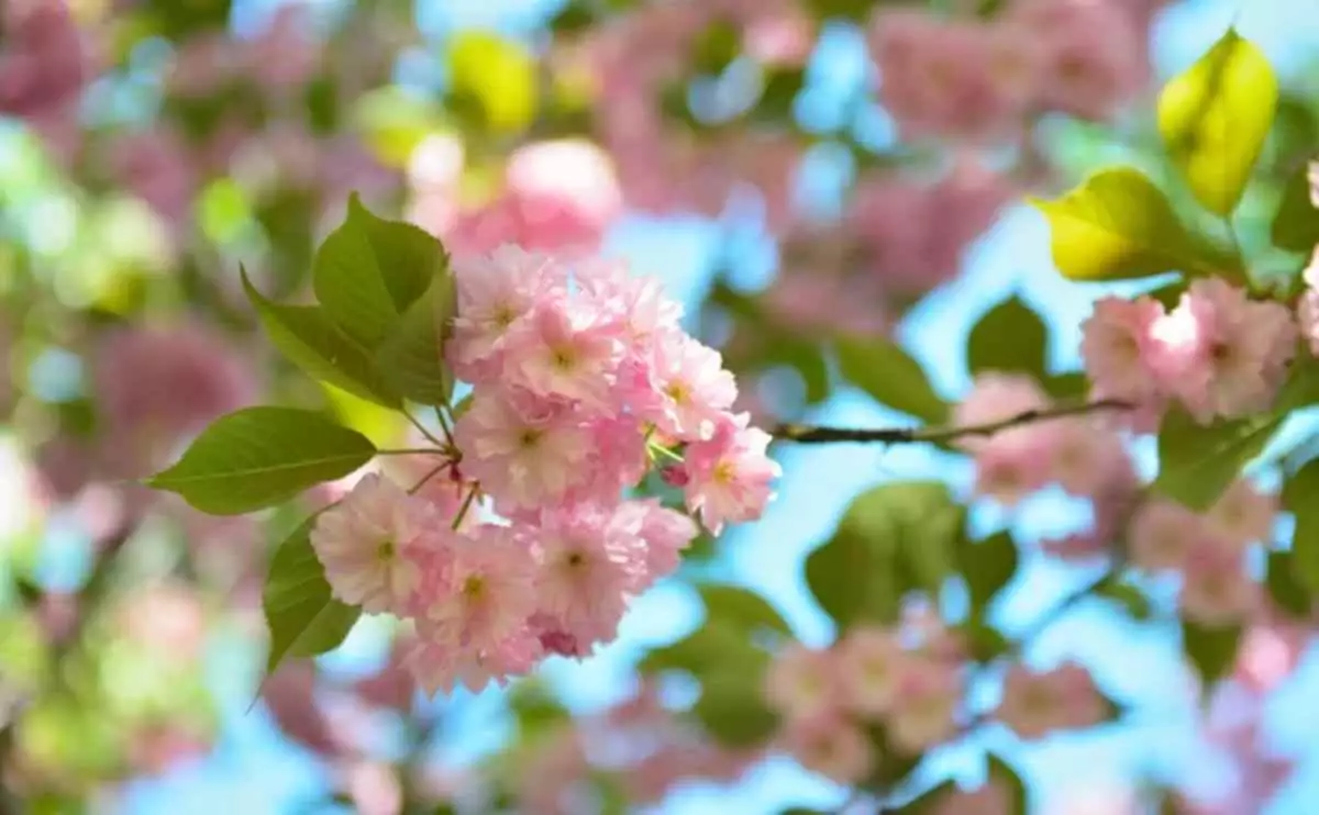 "Температура нормадан жоғары болады": Синоптиктер сәуір айына арналған ауа райы болжамын ұсынды