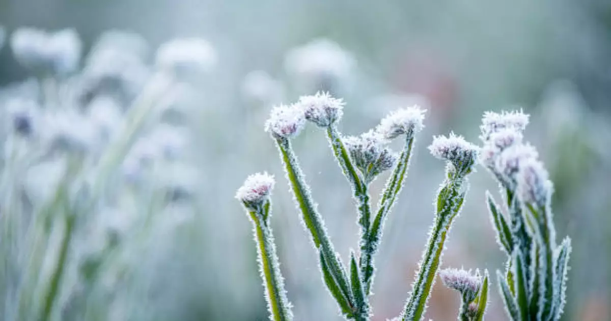   Республика бойынша тұман болуы ықтимал - Қазгидромет   