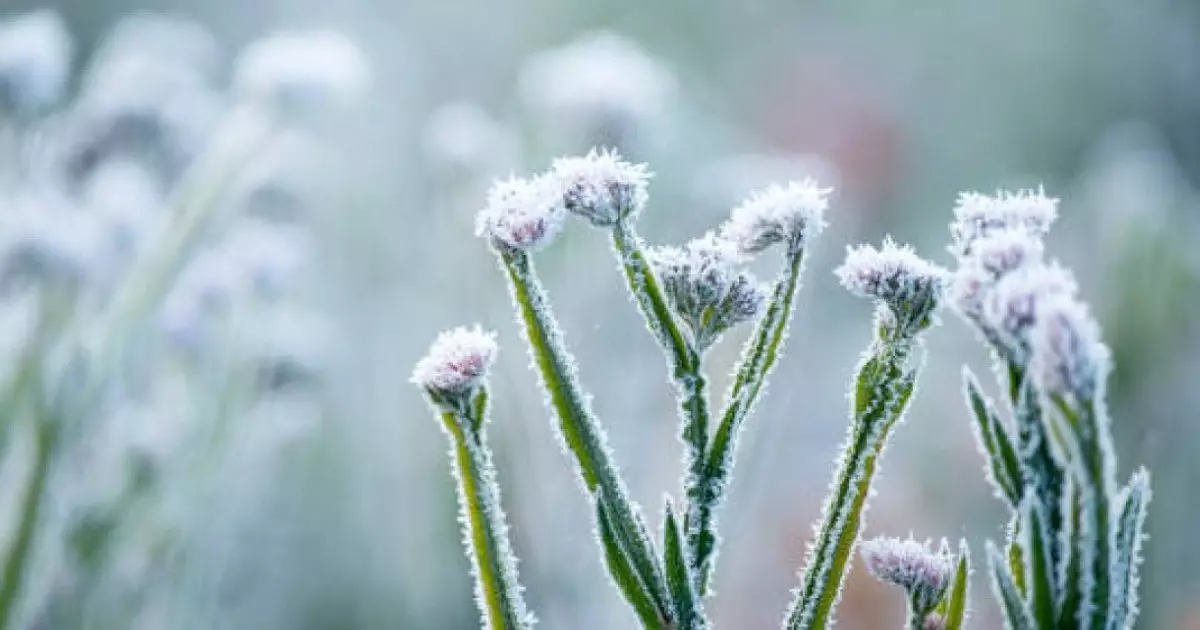  17 наурызда ауа райына байланысты ескерту жасалды 