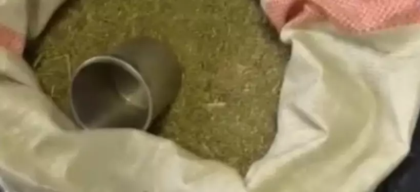 Павлодар облысында аса ірі мөлшерде есірткі заттары тәркіленді