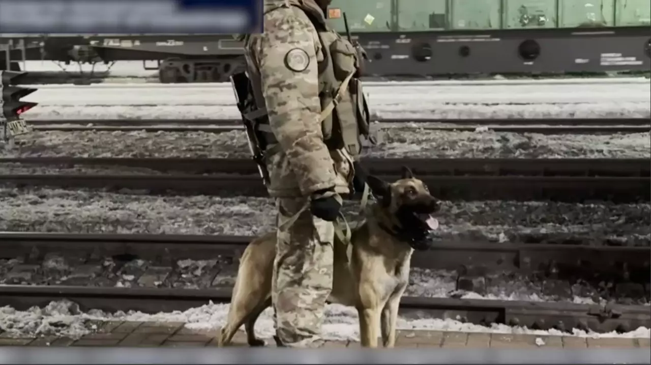 Кибералаяқ елге экстрадицияланды