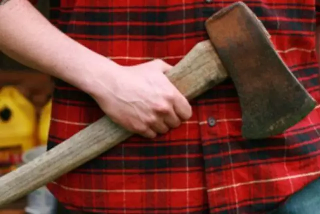 20 жастағы ер адам екі адамды балтамен шауып өлтірді