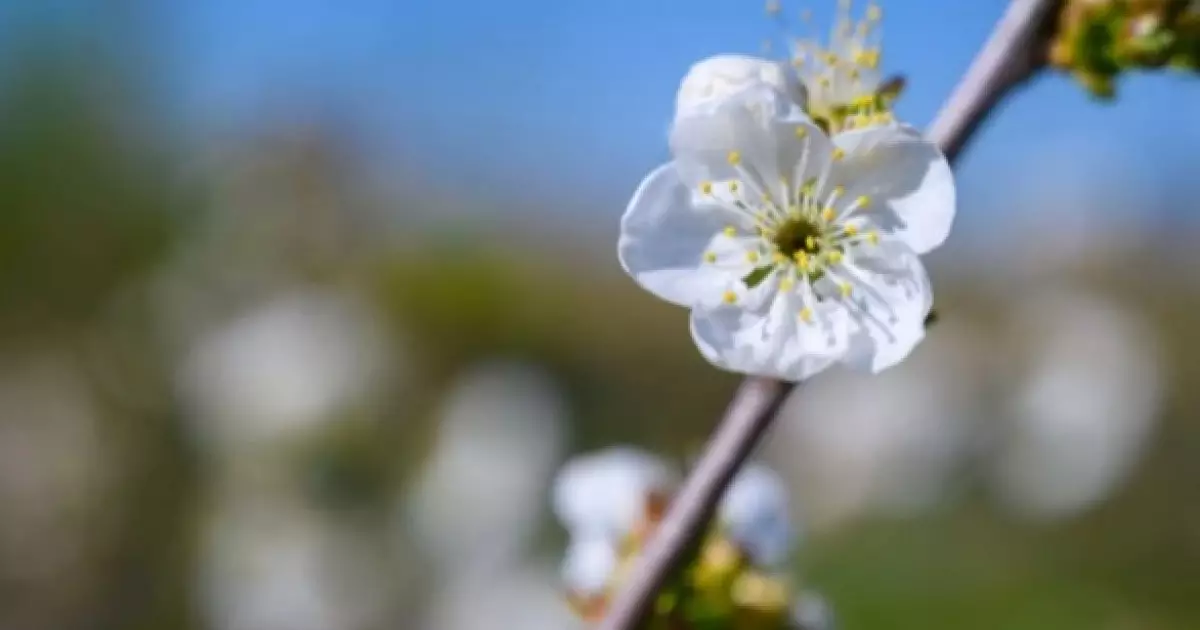  Көктем мен жаз айларында ауа райы қалай болады? 