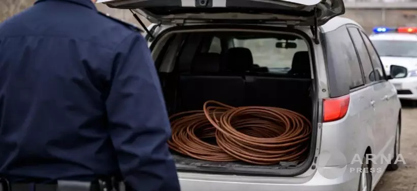 Абай облысында ұрлық дерегі бойынша күдіктілер ұсталды