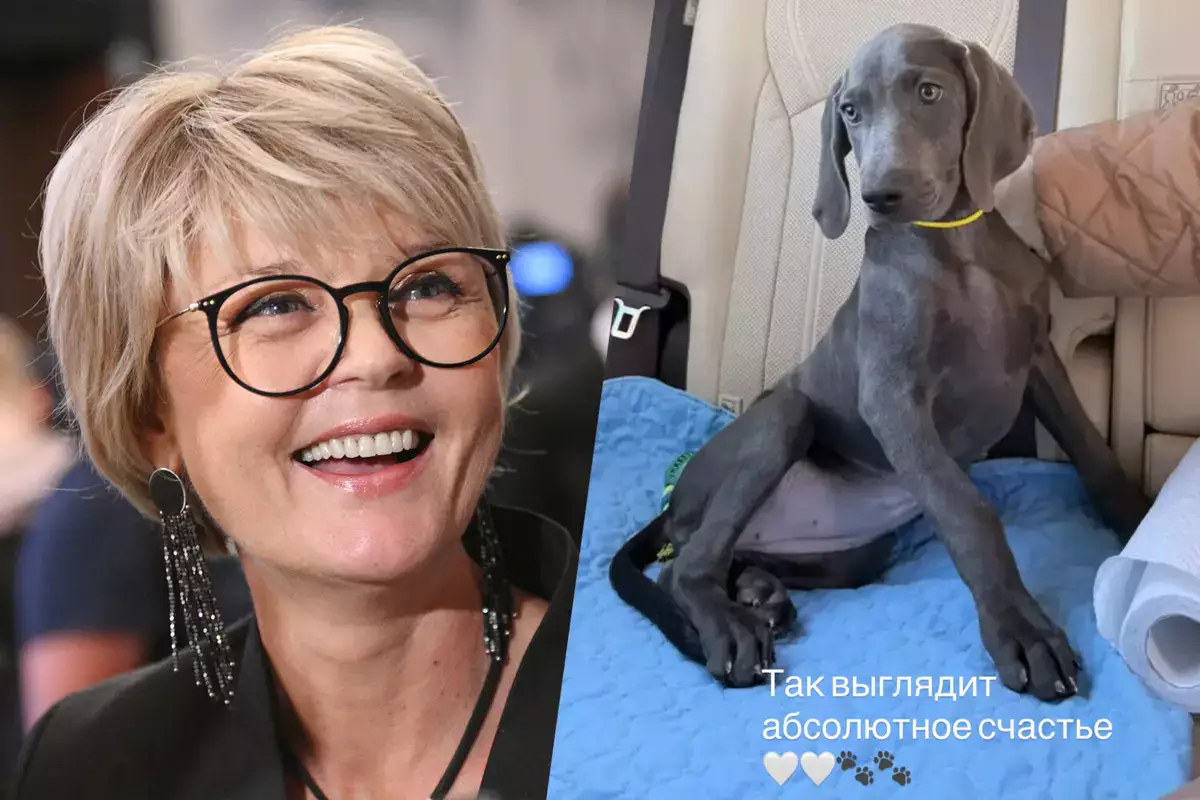 «Теперь начнется совсем другая жизнь»: Юлия Меньшова показала нового члена семьи - новости на Lada.kz 17.03.2026