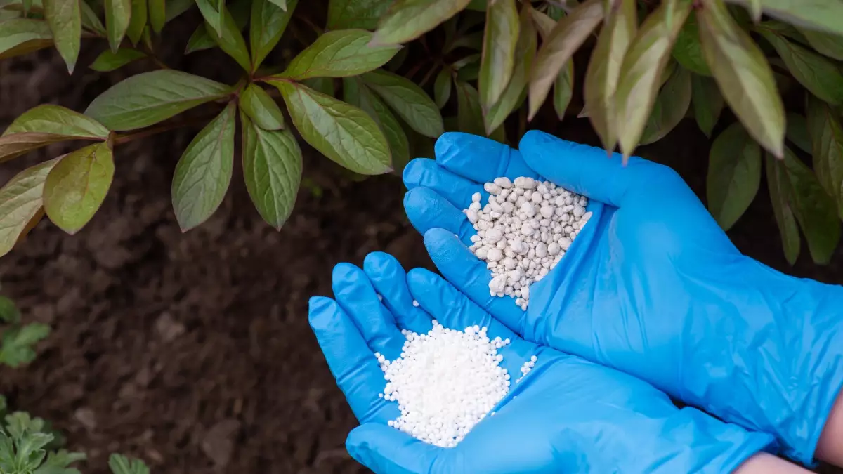 Импорт почти вдвое превышает производство: Что происходит на рынке удобрений Казахстана