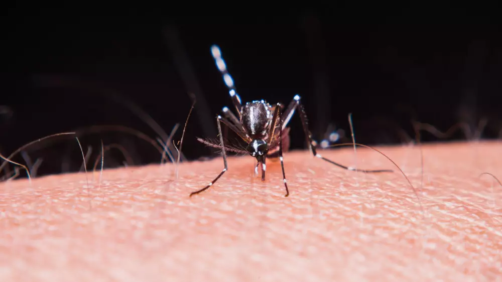 Алматыда безгектің сырттан әкелінген жағдайы тіркелді