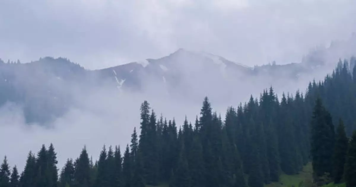   Қауіпті метеорологиялық құбылыстары күтіледі - Қазгидромет   