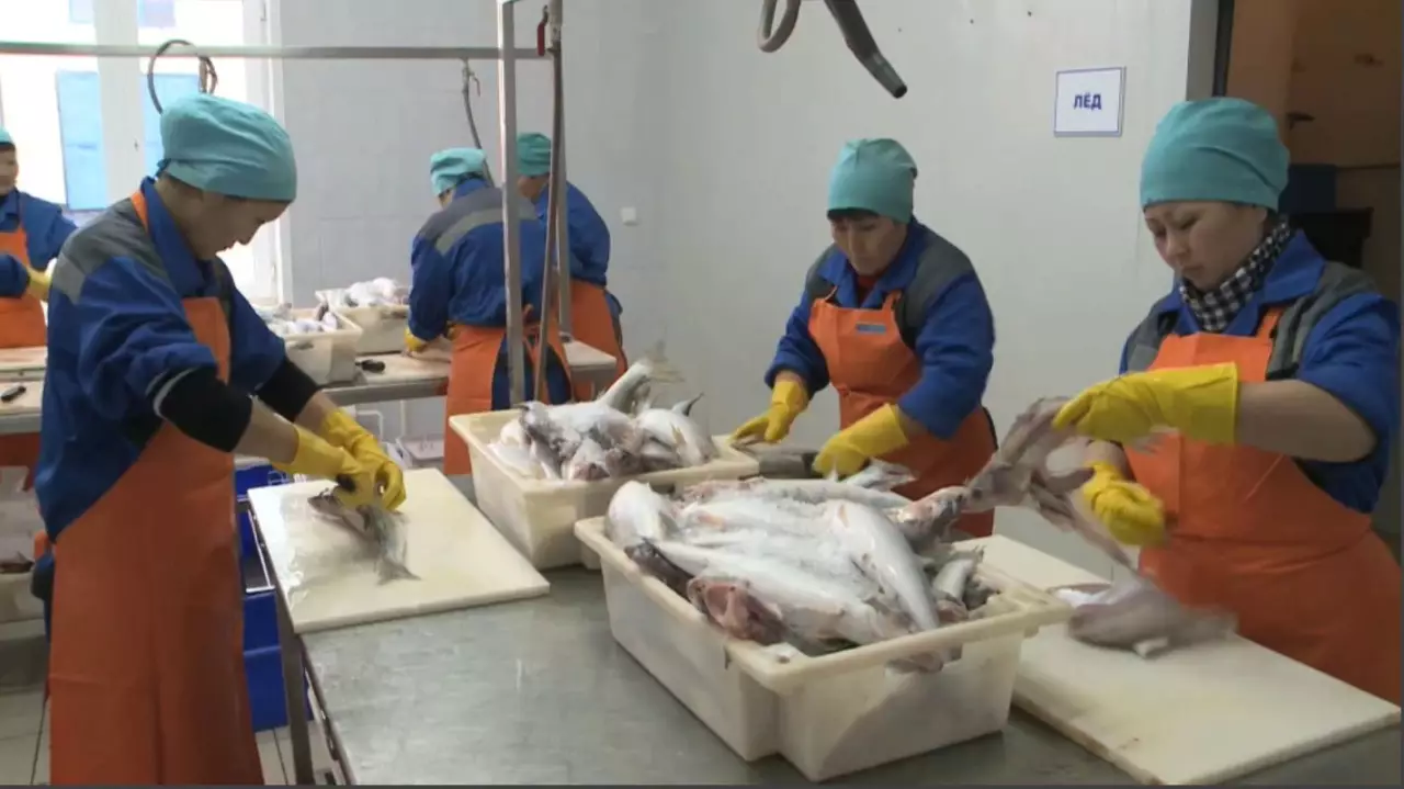 Балық импорты бәсеңдеді