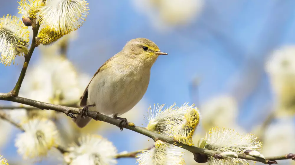 Қазақстанда 23 градусқа дейін күн жылынады