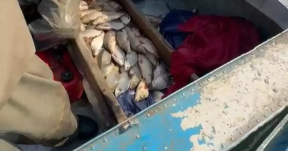  Түркістан облысында браконьерлерден 130 келіге жуық балық тәркіленді 