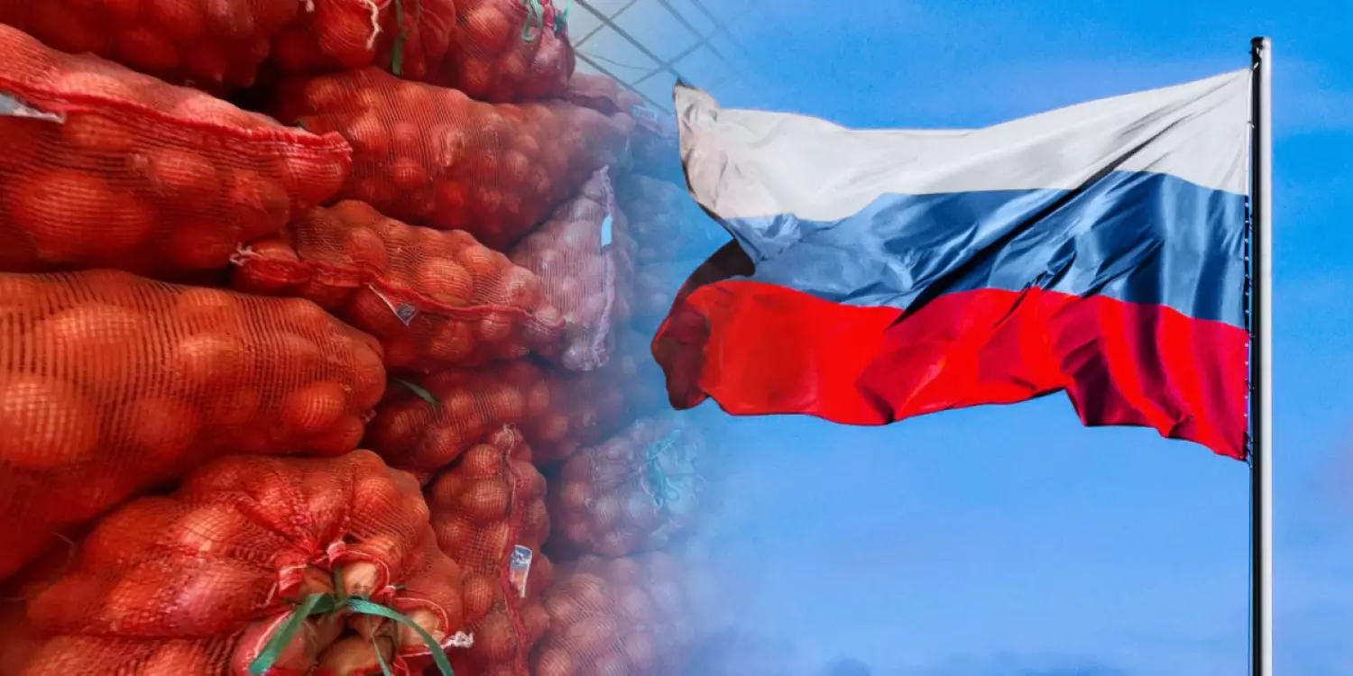 «Соғыс бітпей, Ресейдегі жағдай тұрақталмай, біздің де көзіміз ашылмайтын сияқты»: Шаруалар пиязын 30 теңгеден де өткізе алмай отыр