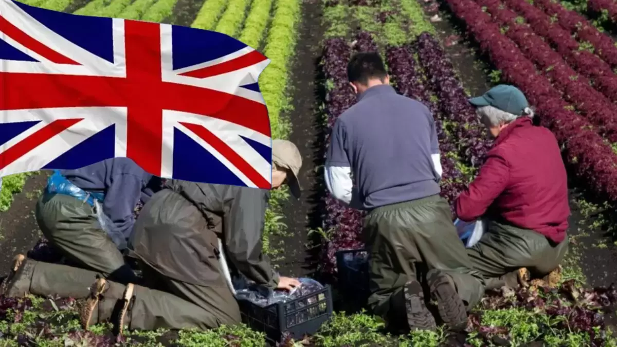 Ұлыбританияға жұмысқа жібереміз деп алдайтындар көбейген