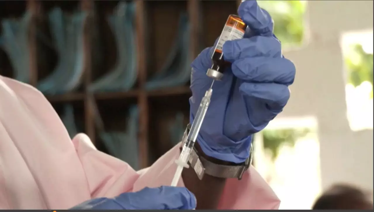 КДР-ДА қызылшаға қарсы жаппай вакцинация басталды