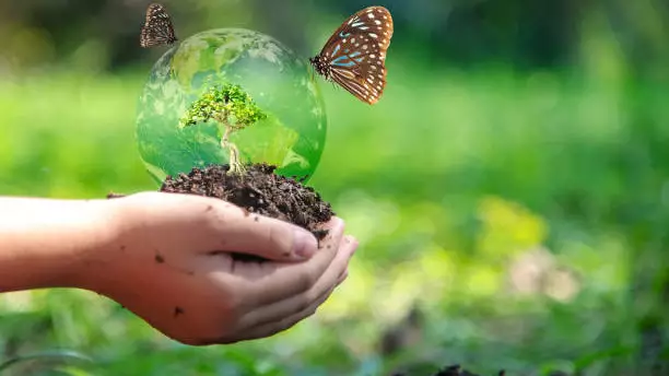 До 2035 года в Казахстане реализуют концепцию сохранения биоразнообразия