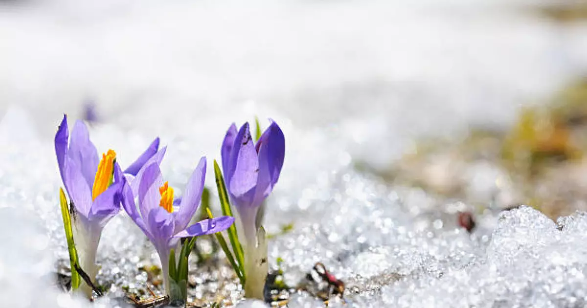  Астанаға тұман түсіп, Алматы +17 градусқа дейін жылиды 