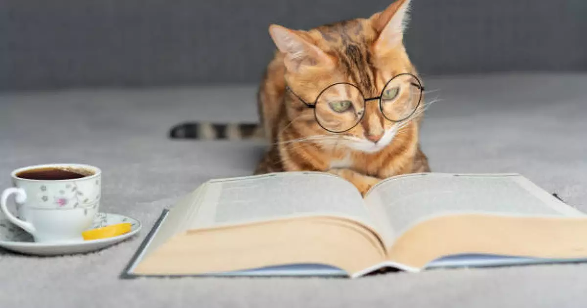  Мысық та ғылыми мақала жаза алады: `физик ғалым` Честердің ерекше оқиғасы 