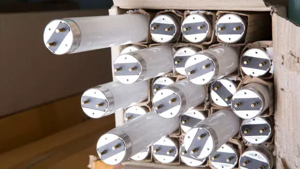 Тысячи опасных отходов годами хранились в подвалах школ в области Жетысу