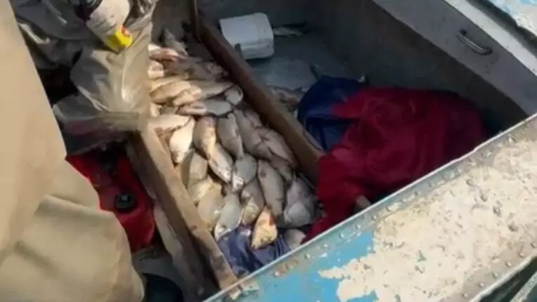 130 кг рыбы незаконно выловили браконьеры в Туркестанской области