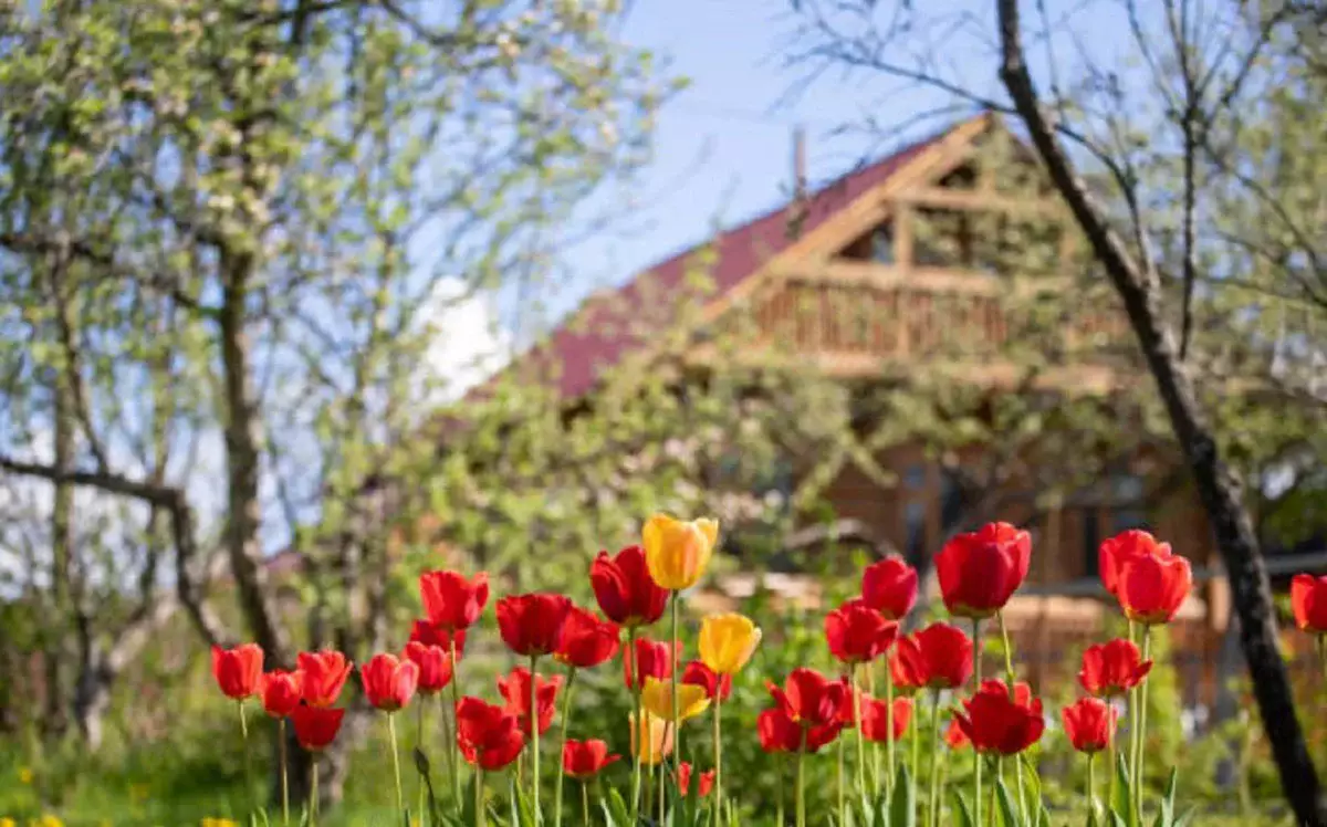 Алматы облысында қандай саяжайлар қала мен ауыл құрамына енді