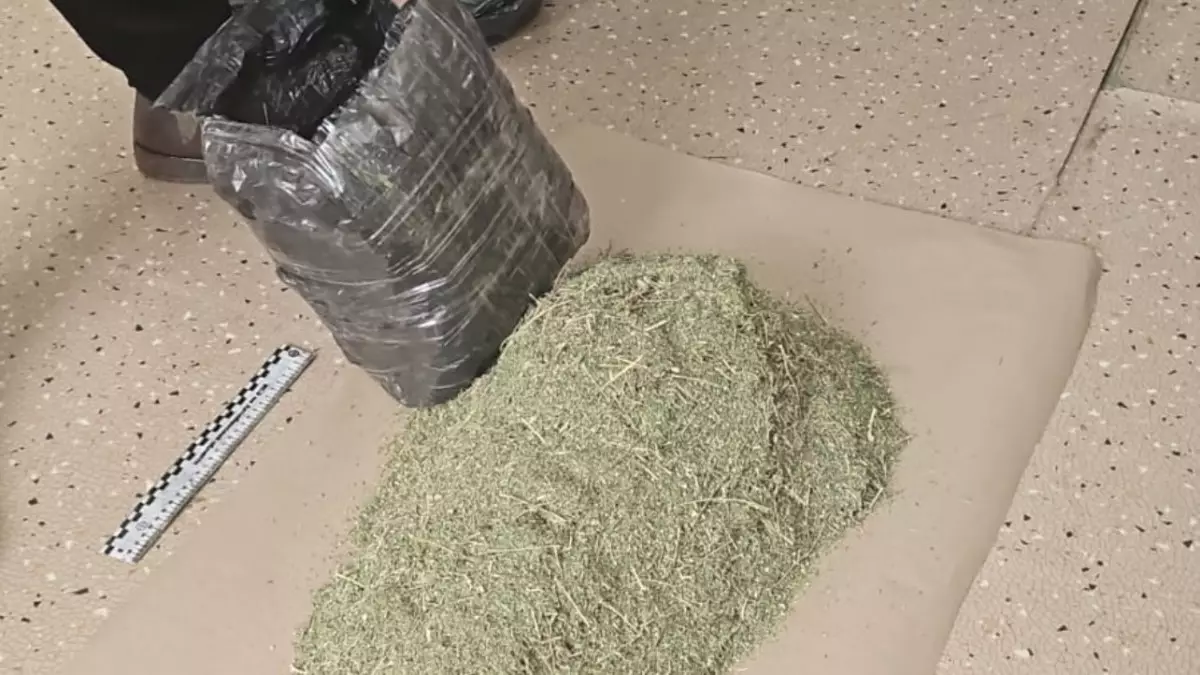 Балкон и комната скрывали тайник с наркотиками в Актюбинской области