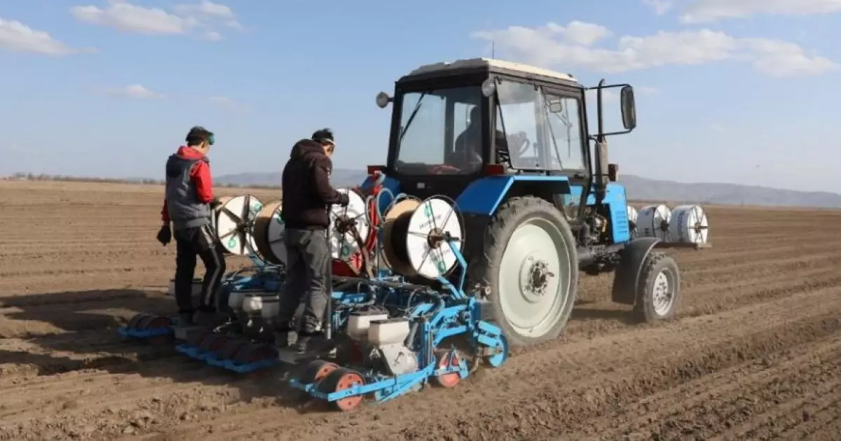   Шаруаларды шатқаяқтатқан шара   