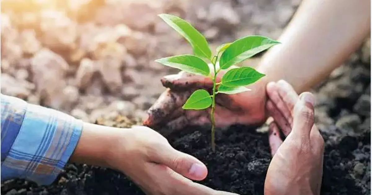   Жаңару тазалыққа бастаған толғаныс   