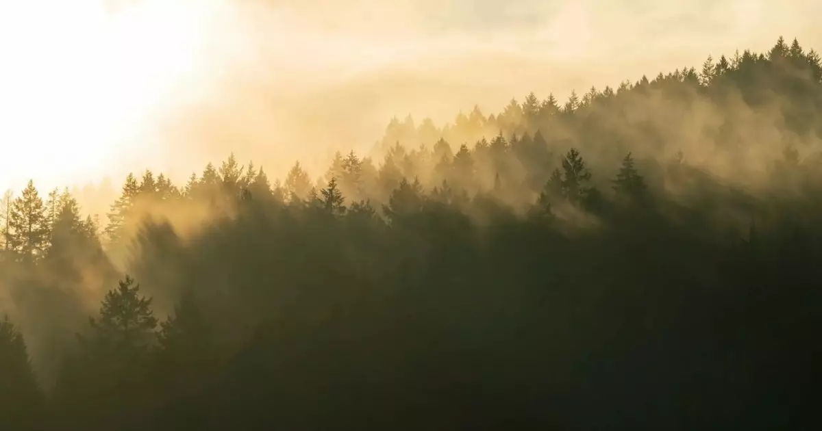  19 наурызда ауа райына байланысты ескерту жасалды 