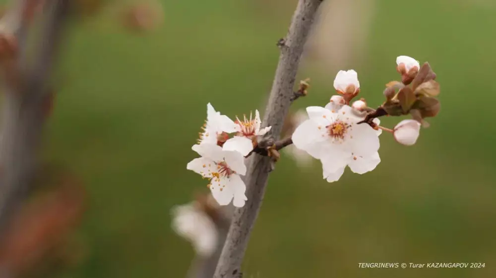 Қазақстанда бүгін ауа райы қандай болады?