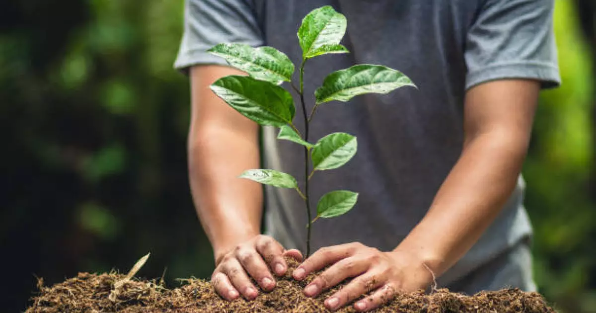  19 наурыз – Жаңару күні 