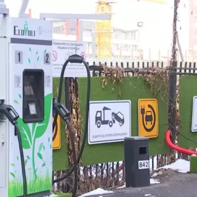 Подростка ударило током: в Алматы требуют срочно снести зарядные станции